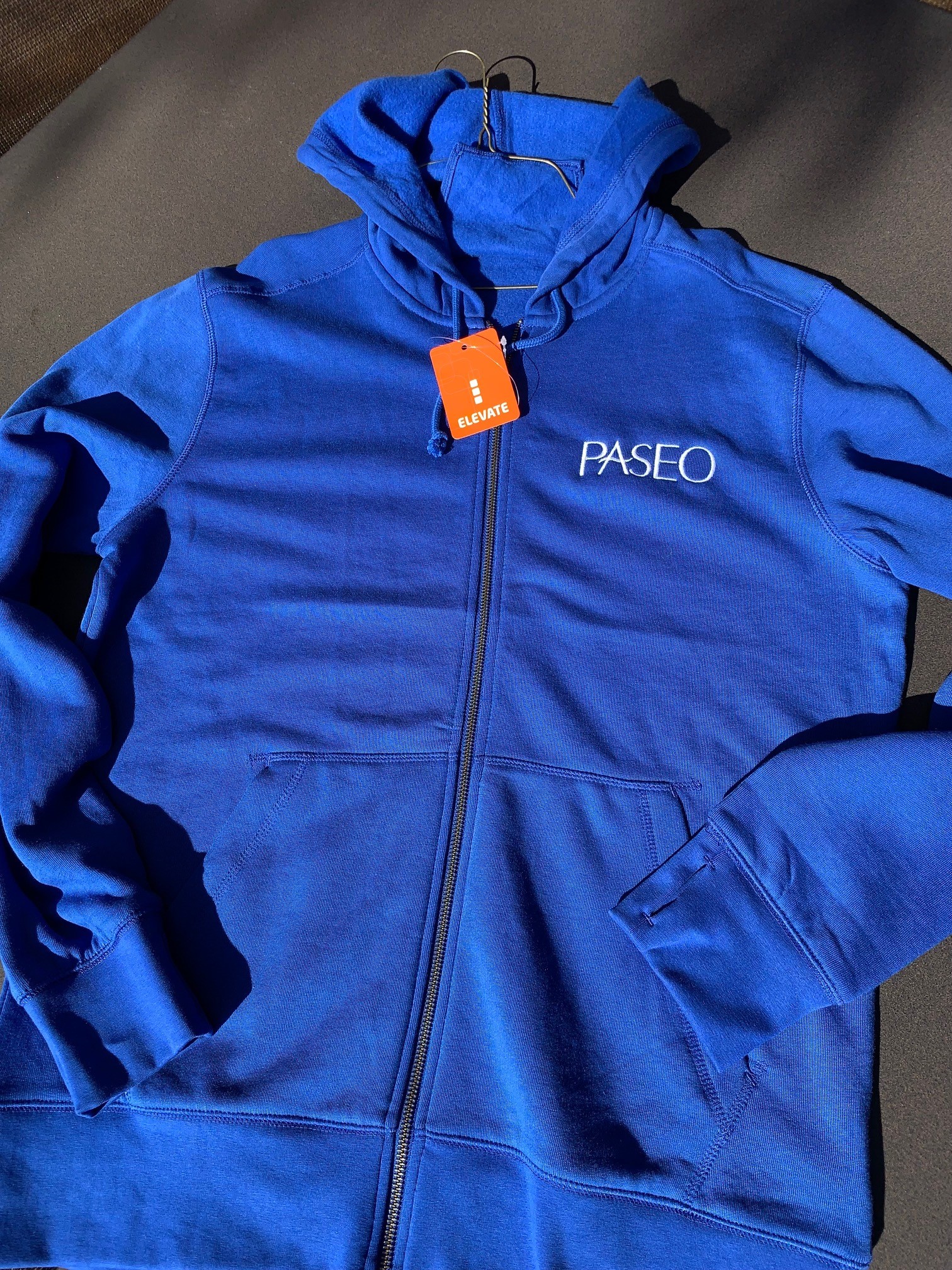 Blue Paseo Hoodie